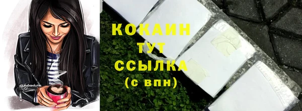 соль курить ск Белокуриха
