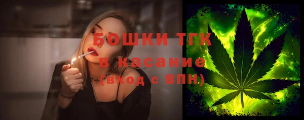 PSILOCYBIN Богданович