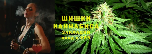 PSILOCYBIN Баксан
