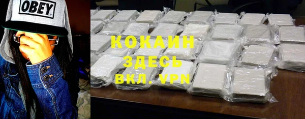 PSILOCYBIN Богданович