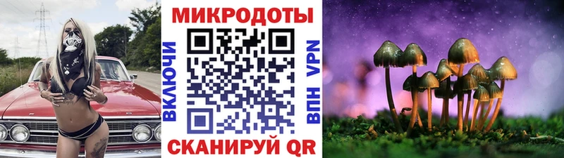 купить наркотики сайты  Волгореченск  KRAKEN маркетплейс  Галлюциногенные грибы ЛСД 